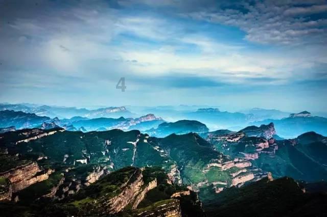 救援鹦鹉